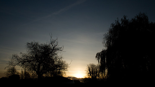 sunset england sky tree silhouette lincolnshire billingborough