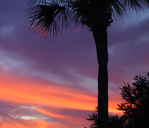 sunset color blue red sky palmtree nikond60 blueribbonwinner goldstaraward theperfectphotographer theunforgettablepictures diamondclassphotographer flickrsbest