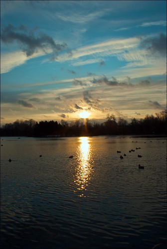 lake clouds sunrise ducks loafers