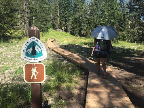 PCT: Day 101