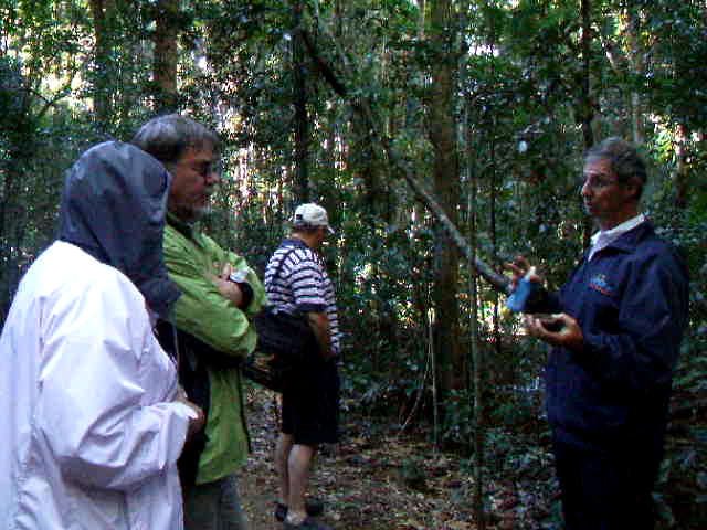 Storeyline Tours guide Tim talks about Black Beans at Mary Cairncross Reserve