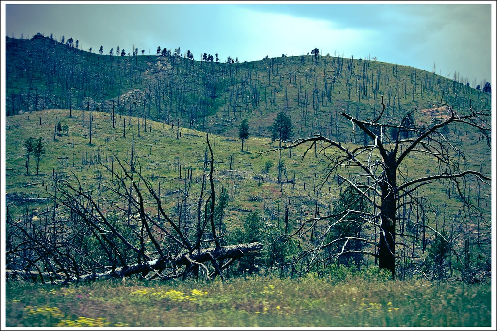 Josie Heath Trail