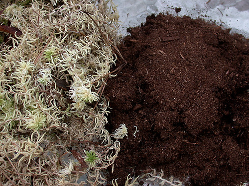 sphagnum moss and peat