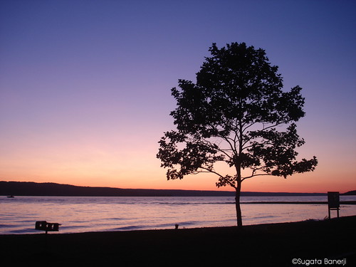 sunset usa lake newyork tree water silhouette america dusk joy lansing ithaca cayugalake naturesfinest sugata banerji joyforever sugatabanerji