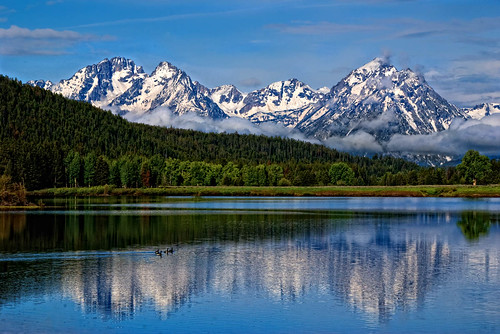 Tetons and Ducks by Bill Wight CA