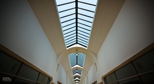 Symmetry | by Robert Brienza