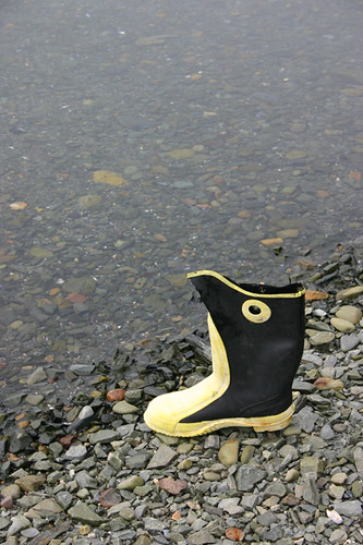 Old Boot | by lawr8223