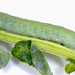 Flickr photo 'Pieris rapae L. (Lepidoptera: Pieridae) - cabbage butterfly larva' by: Sam Fraser-Smith.