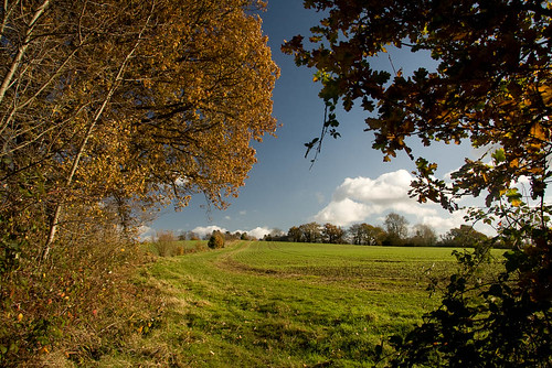 Kent in the Autumn near Penshurst