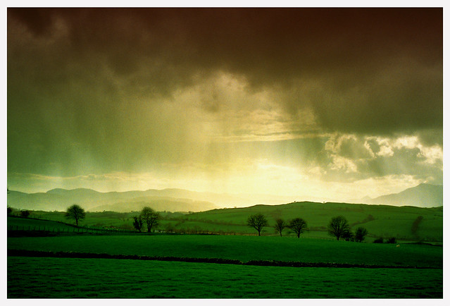 Stormy Fields