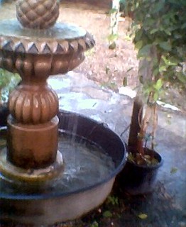 Fountain | by swanfleet