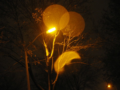 Snow on a Street Lamp