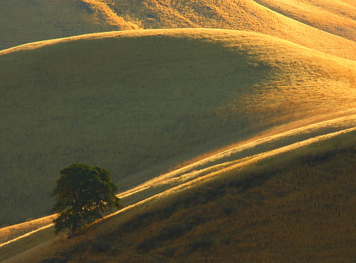 morning light and a few curves by Marc Crumpler (Ilikethenight)