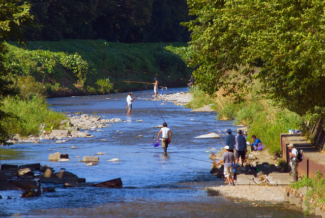 Fishermen on a Summer River