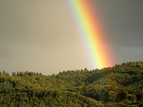 Regenbogen über Großsachsen | by frifa90