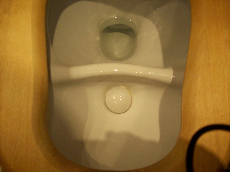 Urine Diversion Flush Toilet (company Dubbletten)