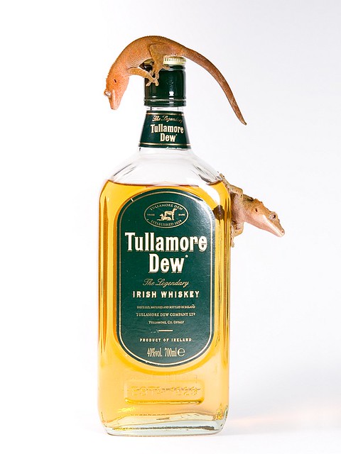Tullamore Crested