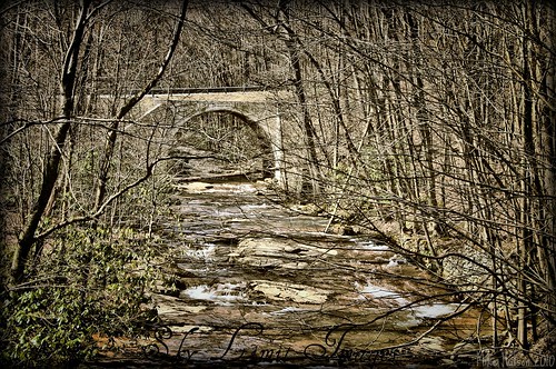 bridge trees beautiful canon rebel stream pittsburgh pennsylvania hdr ohiopyle uniontown skylimitimages