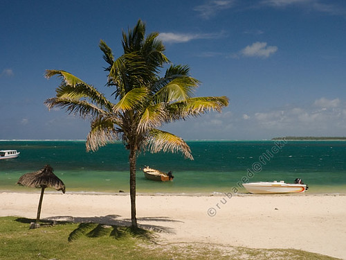 tree beach landscape geotagged boat coconut palm mauritius troudeaudouce