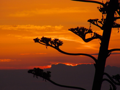 Sunrise by Iván Cárdenes Muñoz, (Santa Brígida, Gran Canaria)
sky españa orange grancanaria contraluz spain europa europe canarias a