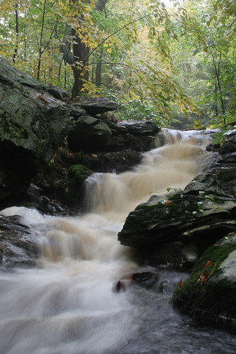 waterfall massachusetts bog fen cascade hardwick ware tannins tannin chrisbuelow warema patrilhollow patrillhollow muddybrook eastquabbinlandtrust eqlt hardwickma dryoptera