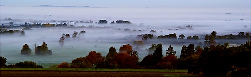 Ground Fog in the Vale by algo