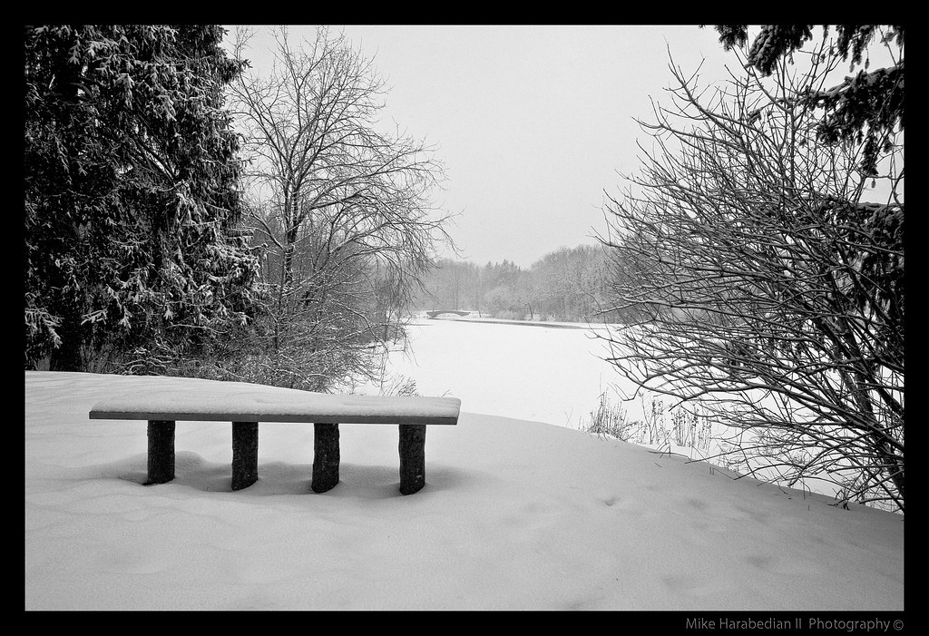 Kirk Style Bench Shot - Cranbrook by MikeRyu