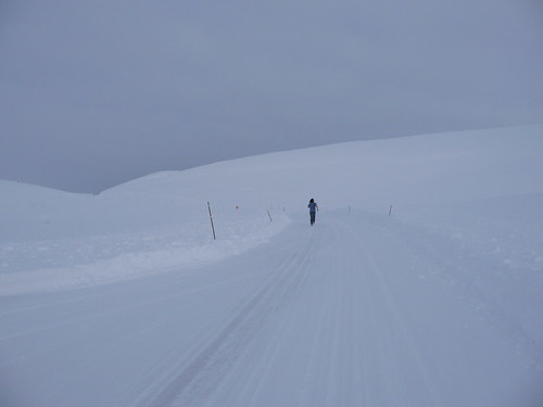 road white snow norway landscape march finnmark