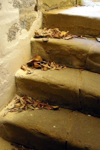 Tomago House - Cellar steps
