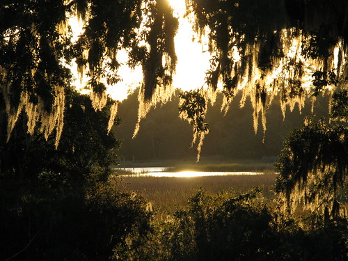light sunset water southcarolina plantation spanishmoss