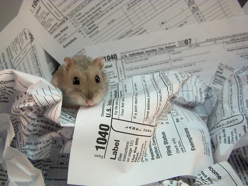 Tax Help | by thedailyhamster