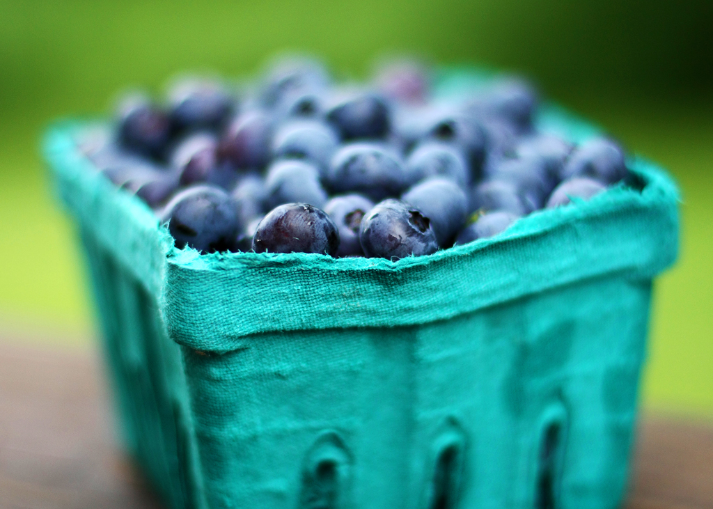 Freshly Picked | Delicious fresh blueberries, picked by my 7… | Flickr