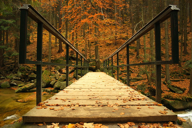 A bridge to the autumn