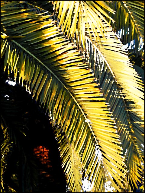 Palmes d'or