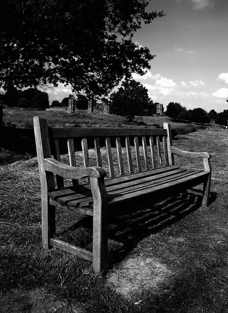 lonely bench bw