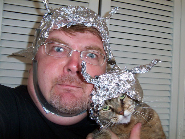 Image result for tinfoil hat cat