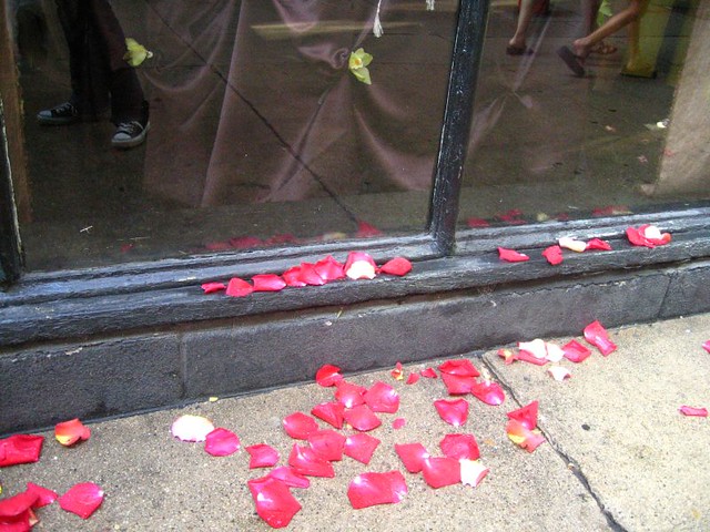 rose petals and converse