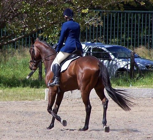 SHORA Dressage - Sunday 9 October 2005 | by andreavallejos