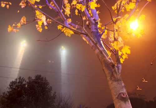 Fog | by lloydb