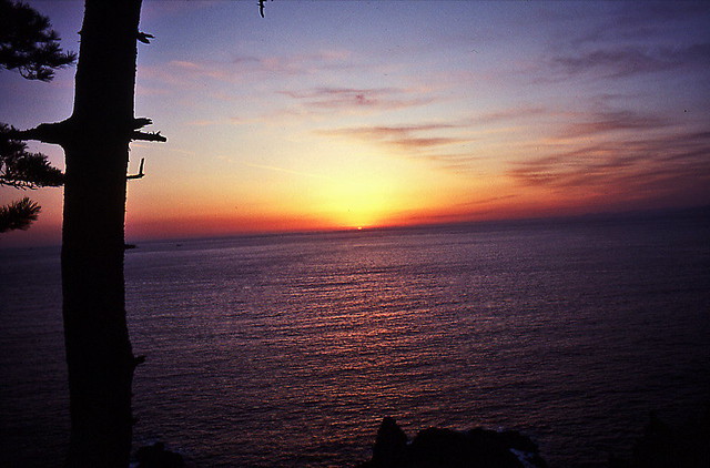 Sunset-1989.jpg