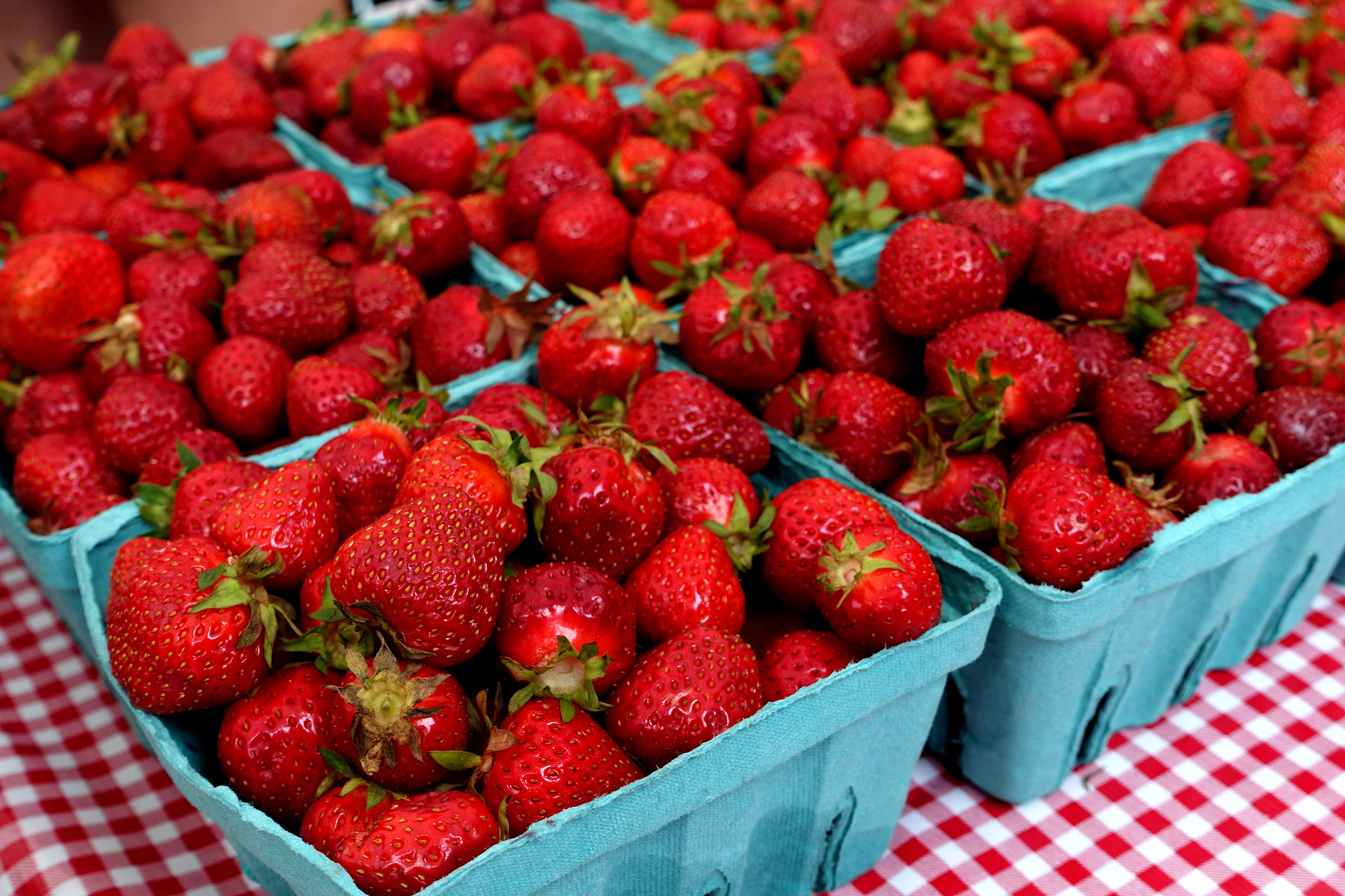 Strawberries Seasons First KCI08279