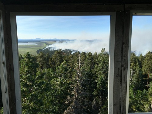 arizona forest lookout flagstaff wildfire coconinonationalforest forestservice mormonlake flagstaffaz cinderhills olearypeak managedfire mogollonrimrangerdistrict flagstaffrangerdistrict camillofire hutchlookout hutchlo