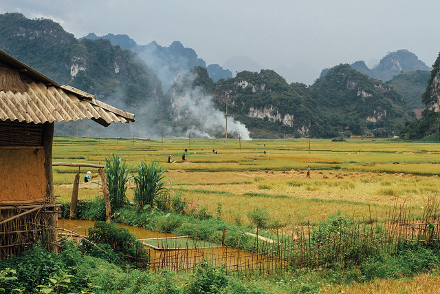 Burning Rice Fields & Mountains, Lai Châu Vietnam