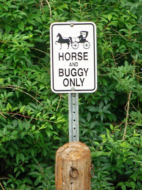 Horse and buggy only parking