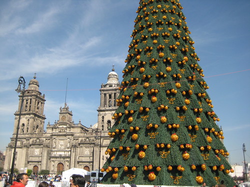 árbol de navidad y catedral metropolitana centro zócalo / christmas tree and metropolitan chatedral at mexico's city downtown | by Abraham P V
