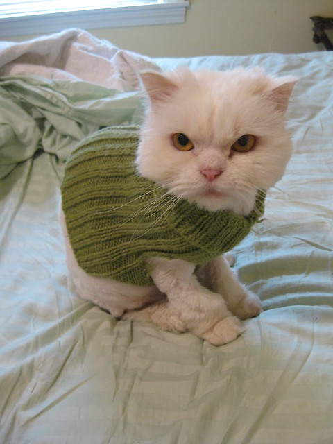 Henry wearing Sammy's sweater