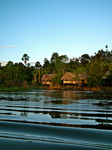 Amazon near Iquitos