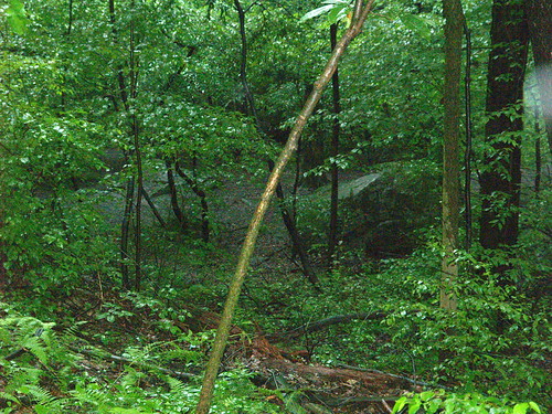 Looking down from the heights on Jumonville Glen by lreed76, The place where the French and Indian War started and, indirectly, the beginning of the end for the 