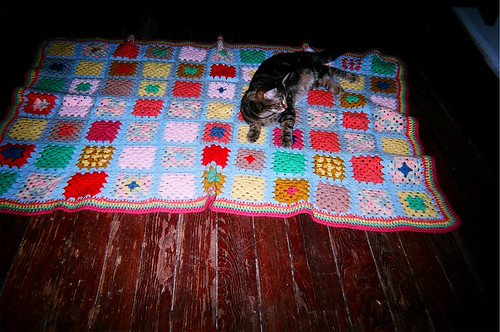 "coupon" / "happy people" / "jeff goldblum" the cat | by ʞɔıɹq uǝɹnɐן