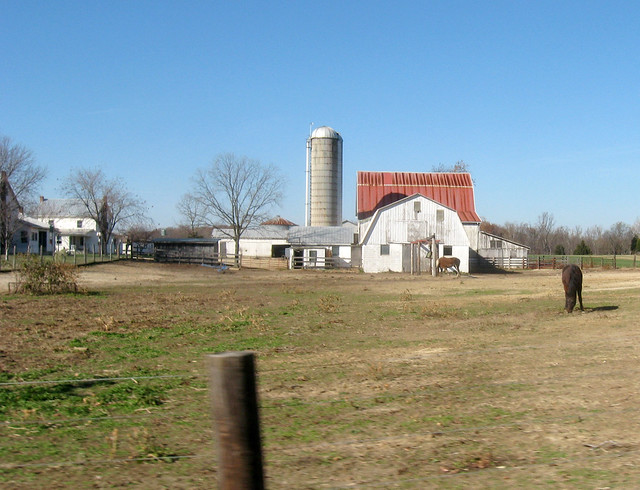 Southern Md Amish Farm 5
